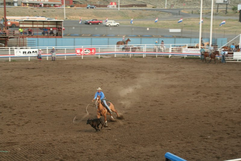 Trip (196).JPG - Cattle roping at the Cody, Wyoming rodeo